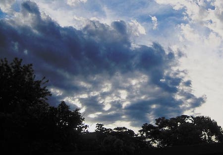 cloud-spread-sun-shining-through-dark-shadow-bush-and-trees